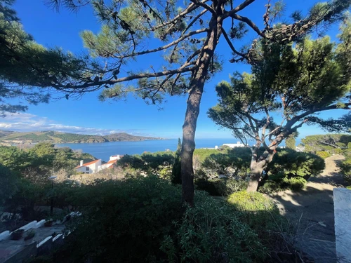 Ferienhaus Banyuls-sur-Mer, 2 Schlafzimmer, 4 Personen - photo_1011795357056