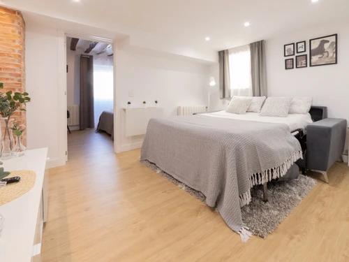 Ferienwohnung Logroño, 1 Schlafzimmer, 4 Personen - photo_1012213068215