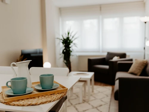 Ferienwohnung Logroño, 1 Schlafzimmer, 4 Personen - photo_1012213068618