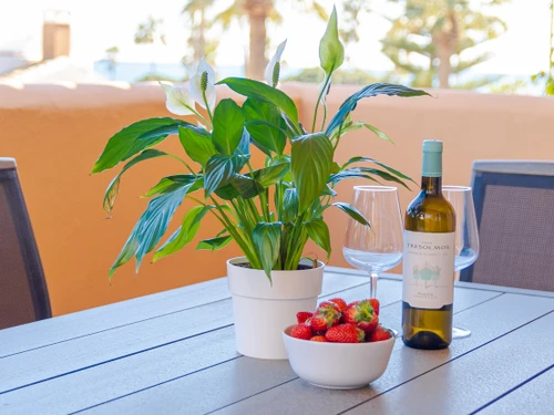 Apartment Marbella, 2 bedrooms, 4 persons - photo_1011874187887