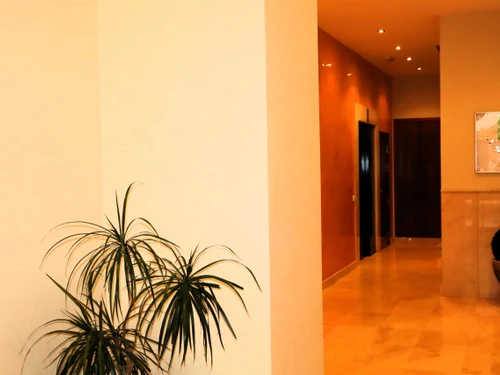 Apartment Peniscola, 3 bedrooms, 8 persons - photo_1012217176426