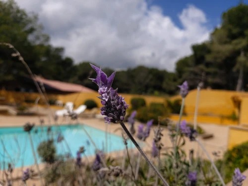 Appartement Cala Mesquida, 4 pièces, 4 personnes - photo_1011865569251