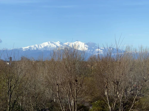Appartement Argelès-sur-Mer, 2 pièces, 4 personnes - photo_1012219656260