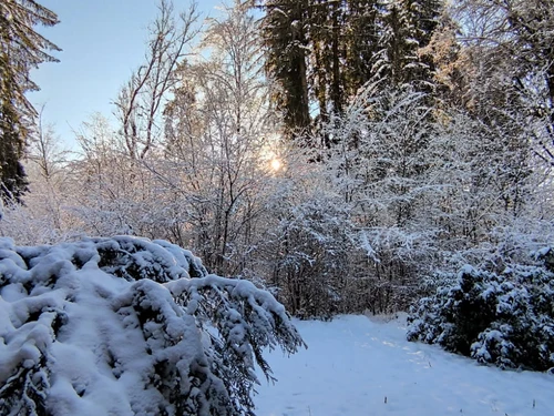 Studio Samoëns, studio flat, 5 persons - photo_1011960789077