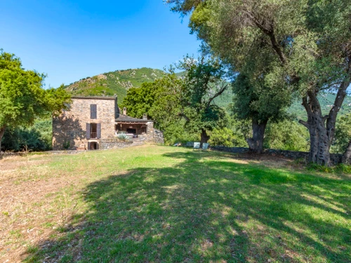 Gîte Cervione, 5 pièces, 8 personnes - photo_1011883273170