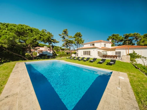 Villa Sintra, 7 pièces, 14 personnes - photo_1011875146915