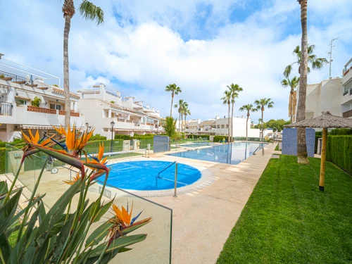 Appartement Dehesa de Campoamor, 3 pièces, 4 personnes - photo_1012270545109