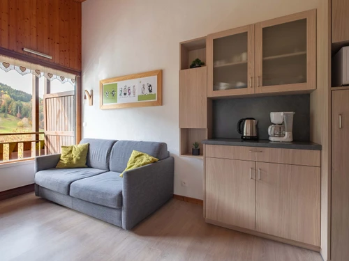 Appartement Le Grand-Bornand, 2 pièces, 5 personnes - photo_14566232948