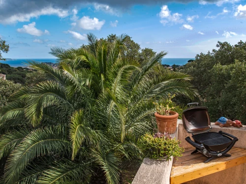 Ferienhaus Cavalaire-sur-Mer, 3 Schlafzimmer, 6 Personen - photo_18614616355