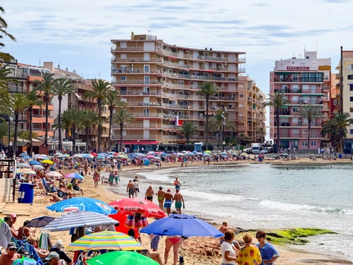 Apartment Torrevieja, 2 bedrooms, 4 persons - photo_1012288219917