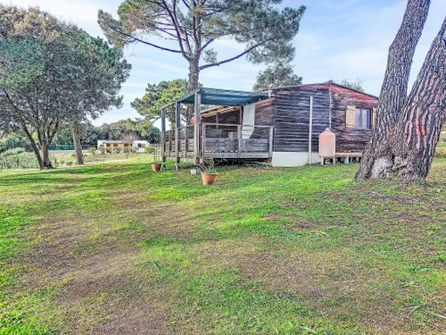 Maison Calcatoggio, 3 pièces, 4 personnes - photo_1012182036191