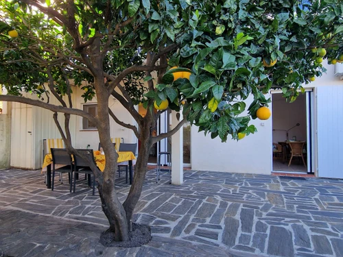 Apartment Banyuls-sur-Mer, 1 bedroom, 3 persons - photo_19542638873