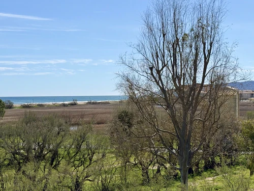 Apartamento L'Estartit, 1 dormitorio, 4 personas - photo_1012325116936