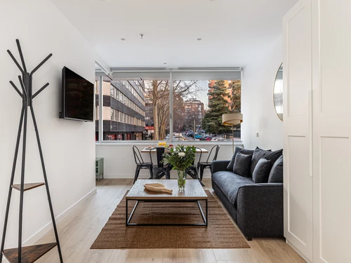 Apartment Madrid, 1 bedroom, 4 persons - photo_1012332446596