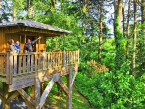 Camping Albi, 1 bedroom, 4 persons - photo_1012335302682