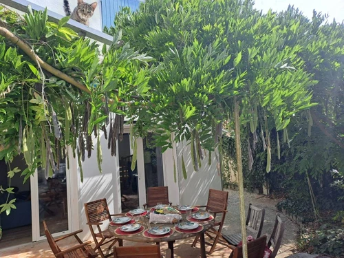 Villa Saint-Trojan-les-Bains, 5 bedrooms, 10 persons - photo_1012340559670