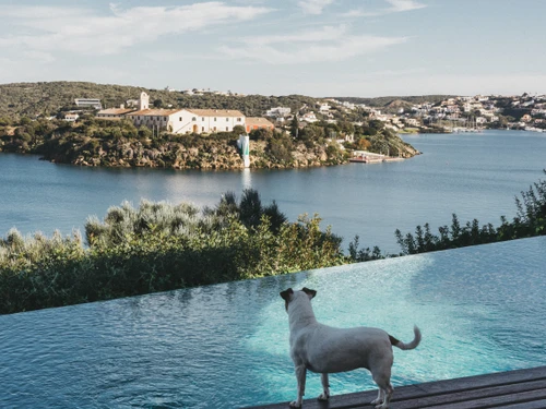 Villa Es Castell, 6 pièces, 10 personnes - photo_1012351558651