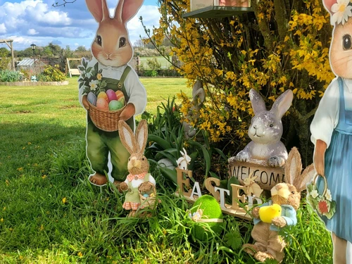 Gîte Belhomert-Guéhouville, 4 pièces, 6 personnes - photo_19659052537