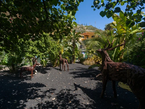 Gîte Telde, 2 pièces, 3 personnes - photo_1012374444126