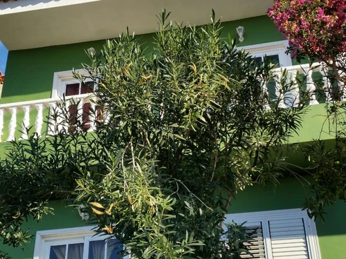 Appartement Vallehermoso, 3 pièces, 5 personnes - photo_1011653469571