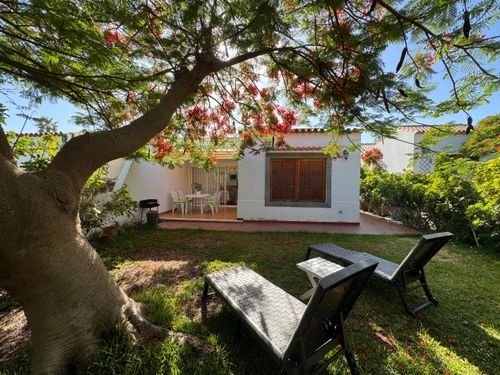 Bungalow Maspalomas, 2 dormitorios, 4 personas - photo_1012378164633