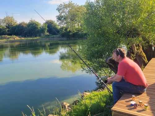 Gîte Belhomert-Guéhouville, 4 pièces, 6 personnes - photo_19659052537