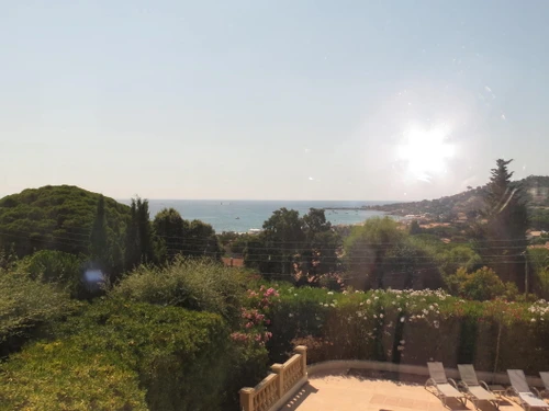 Villa Sainte-Maxime, 7 pièces, 10 personnes - photo_1011402899360