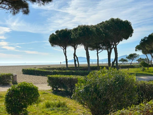 Studio Argelès-sur-Mer, 1 Schlafzimmer, 4 Personen - photo_1012365176103