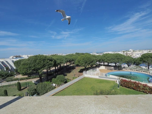 Studio Le Grau du Roi, Studio, 4 Personen - photo_1012414525928