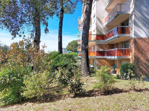 Appartement Vaux-sur-Mer, 1 pièce, 4 personnes - photo_1012435221554