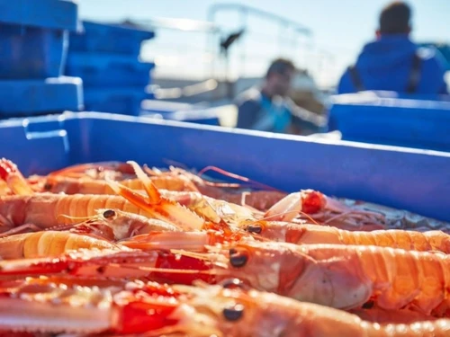 Appartement Roses, 3 pièces, 4 personnes - photo_18896617676