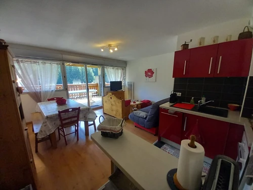 Ferienwohnung Le Lioran, 2 Schlafzimmer, 8 Personen - photo_1012443288198