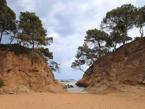 Apartamento Platja d'Aro, 2 dormitorios, 4 personas - photo_1012444223307