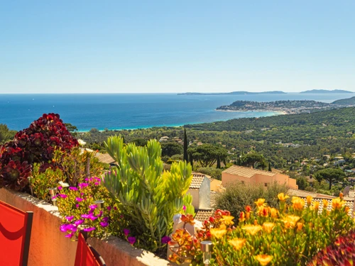 Apartamento La Croix-Valmer, 1 dormitorio, 4 personas - photo_1012454251834