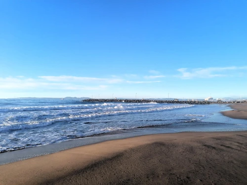 Appartement Roses, 2 pièces, 4 personnes - photo_1011986336737