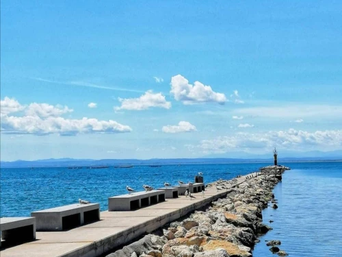 Studio Roses, 1 pièce, 2 personnes - photo_18896612234
