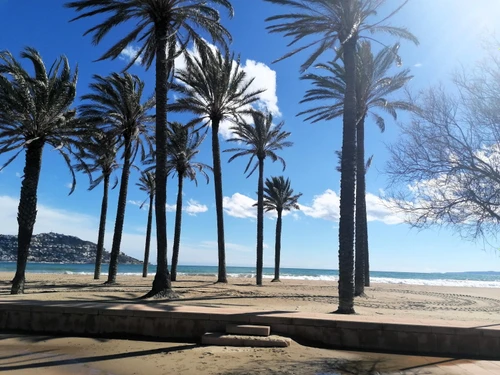 Appartement Roses, 2 pièces, 3 personnes - photo_1012044414224