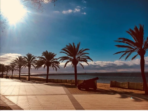 Appartement Roses, 3 pièces, 5 personnes - photo_18896716686