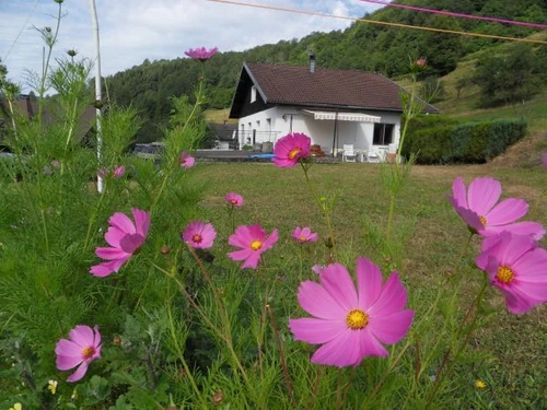 Gîte La Bresse, 2 pièces, 3 personnes - photo_14994454374