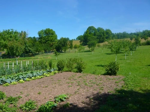 Gîte Velotte-et-Tatignécourt, 4 pièces, 6 personnes - photo_14994456026