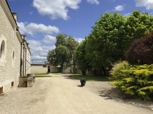 Gite Les Riceys, 3 bedrooms, 6 persons - photo_14810317219