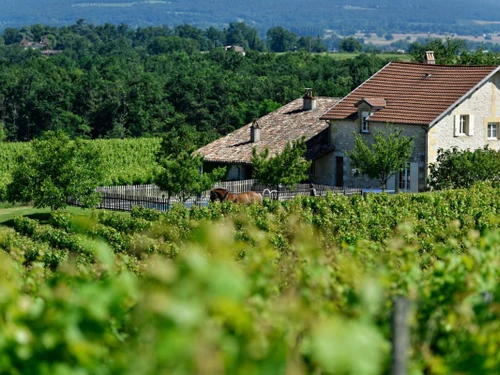 Gite Saussignac, 6 bedrooms, 13 persons - photo_15596885534