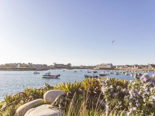 Gîte Saint-Denis-le-Vêtu, 3 pièces, 5 personnes - photo_10794212712