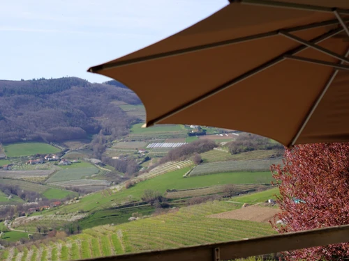 Gîte Valfleury, 2 pièces, 4 personnes - photo_14207037997