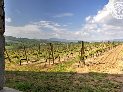 Apartment Malleval, 1 bedroom, 2 persons - photo_14228722851