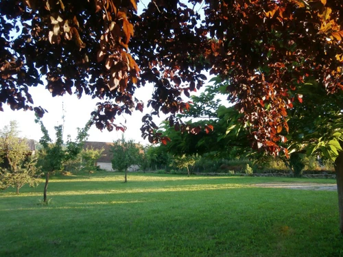 Gîte Cherveix-Cubas, 4 pièces, 6 personnes - photo_15856461478