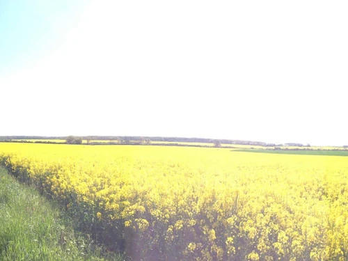 Gîte La Saucelle, 4 pièces, 6 personnes - photo_15004639464