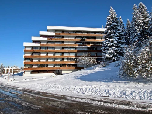 Studio Chamrousse, studio flat, 4 persons - photo_14598206652