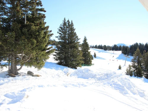 Apartment Chamrousse, 1 bedroom, 6 persons - photo_14899786093