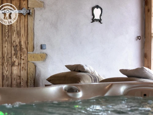 Gîte Saint-Germain-Lespinasse, 7 pièces, 14 personnes - photo_14189025824